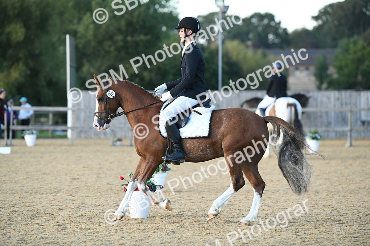 SBM_30997 - D16 - Small Tour Championship - Novice 28