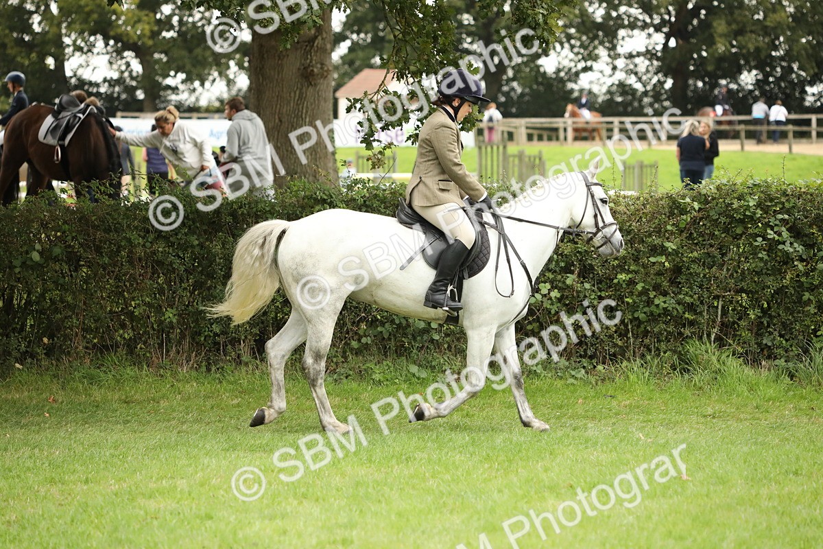 SBM_73671 - S41 - Ridden Equitation (Best Rider)
