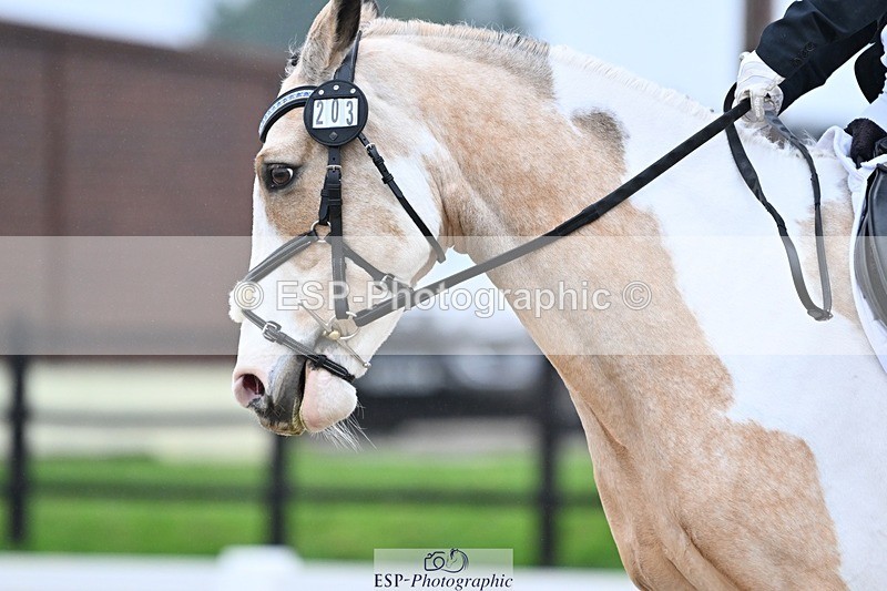 241103-122003-01327 - Prelim 2 - 12.05 to 13.15