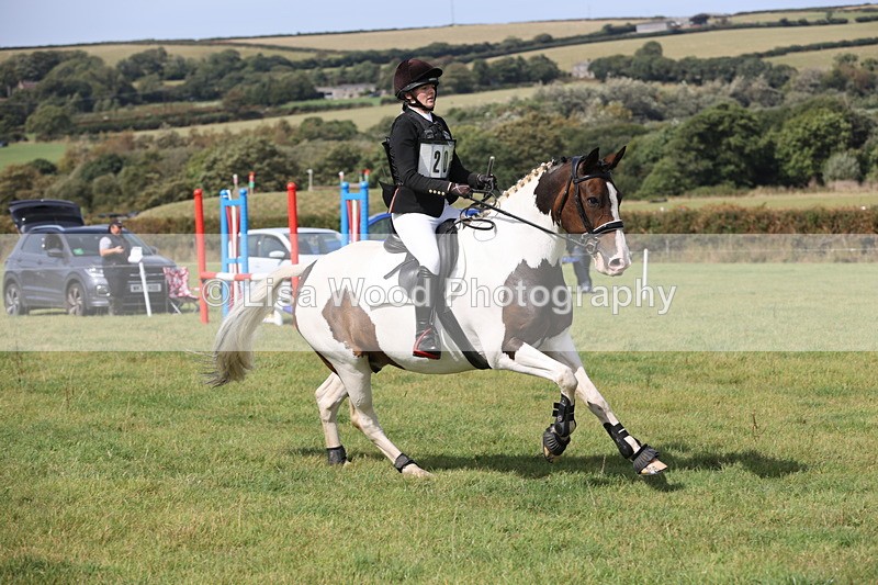 JPP_8686 - Class 2: Trekenning: 80cm Showjumping