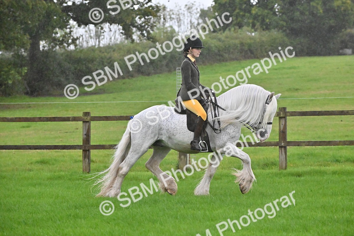 SBM_35654 - S16 - Top Turnout - Ridden