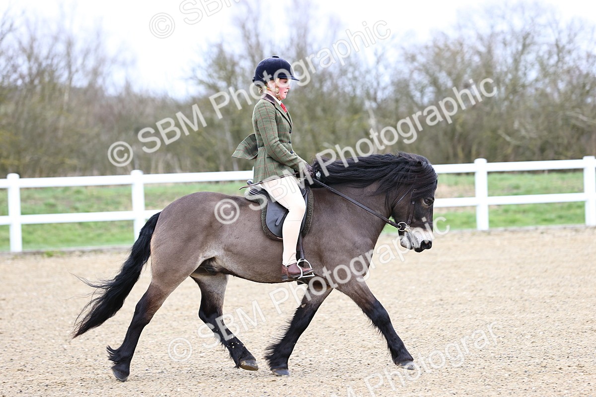 SBM_006839 - Class 29 - 30 - M&M Pure Novice Small-Large Breeds