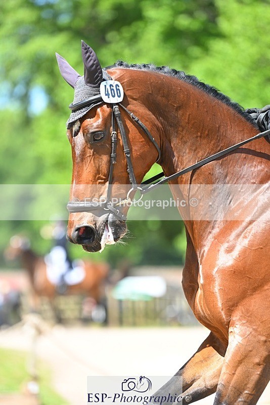 230526-112010-05753 - 466-BAMBINO_DE_L'ILATTE-Paolo_Torlonia-DR