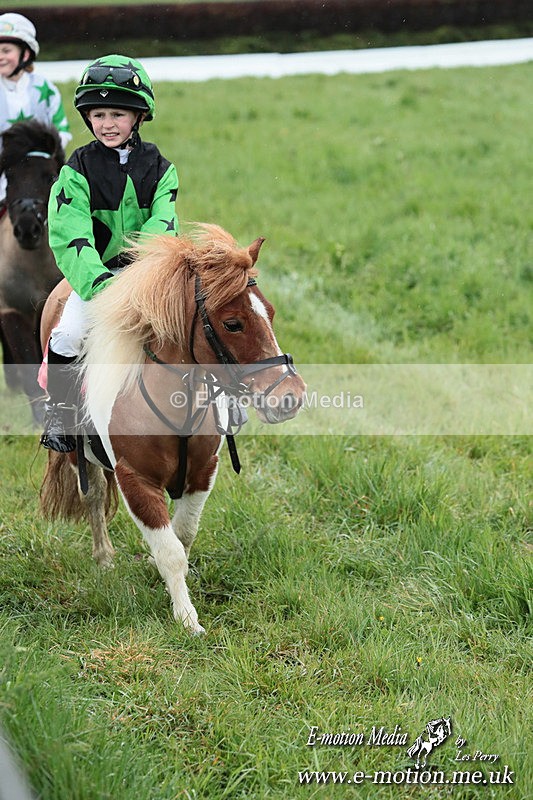 SHETPR 210425 242 - Shetland Ponies Paxford Races 21/04/25