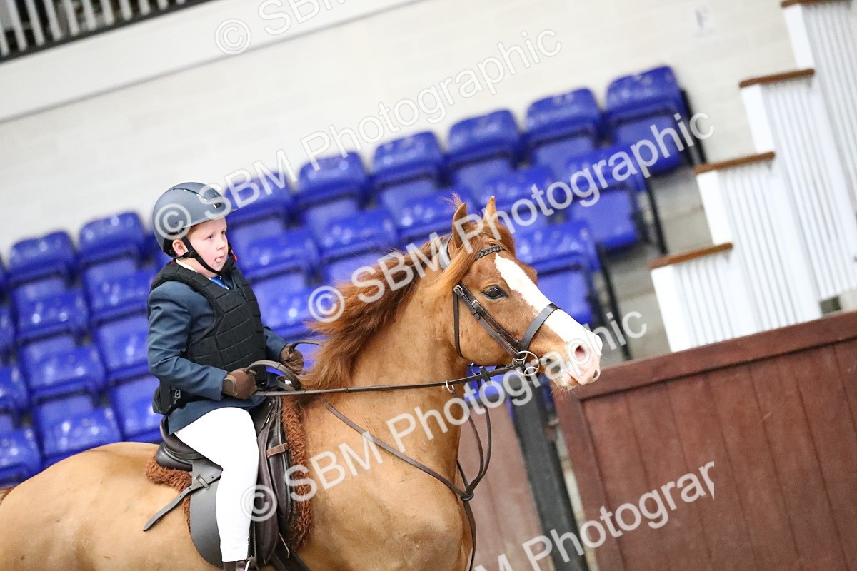 SBM_000706 - Class 2 - 40cm