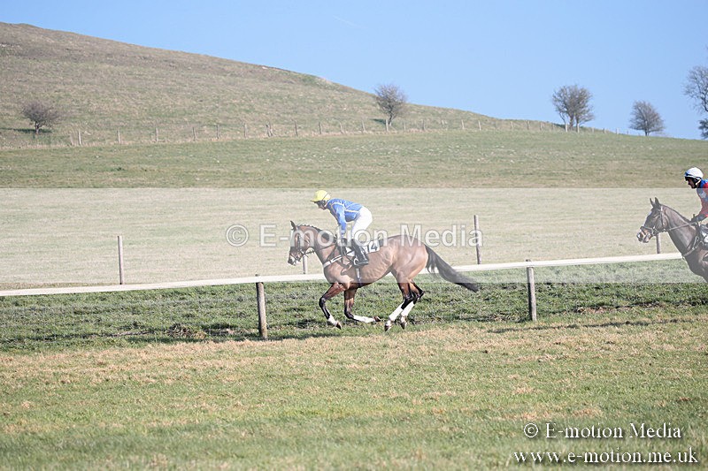 PtP 230219 130 - Vine & Craven Point-To-Point - Barbury 23/02/19