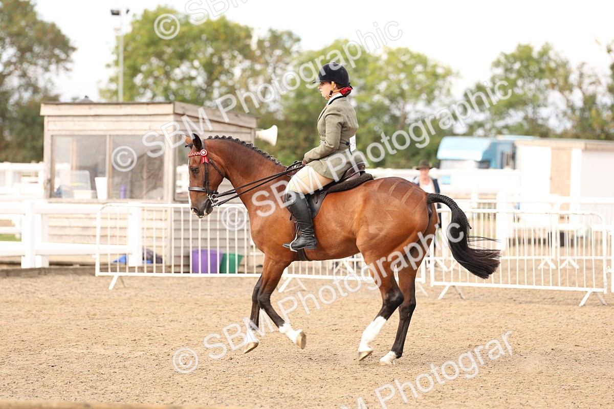 SBM_01518 - Class 52 - Ridden Veteran