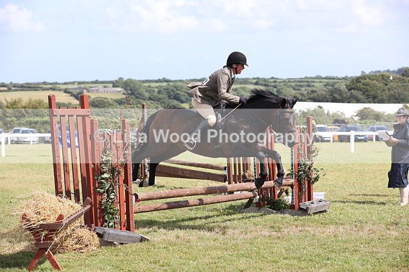 JPP_2182 - Class 19: Working Hunter 60cm