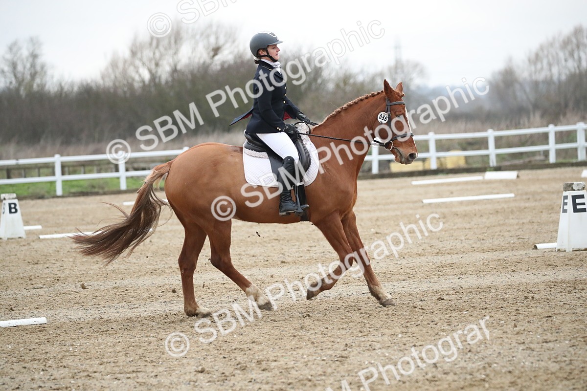 SBM_004810 - Novice 3