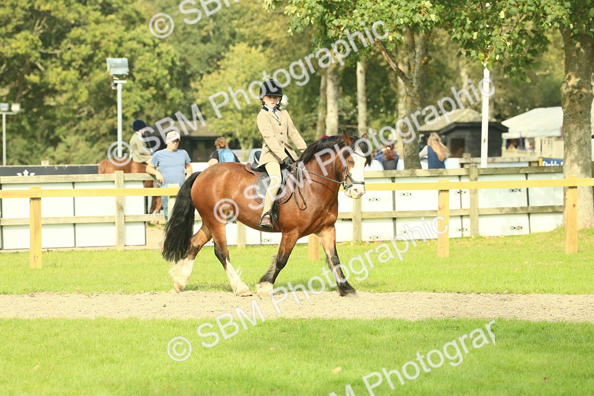 SBM_69045 - S58 - Mini Show Cob Ridden