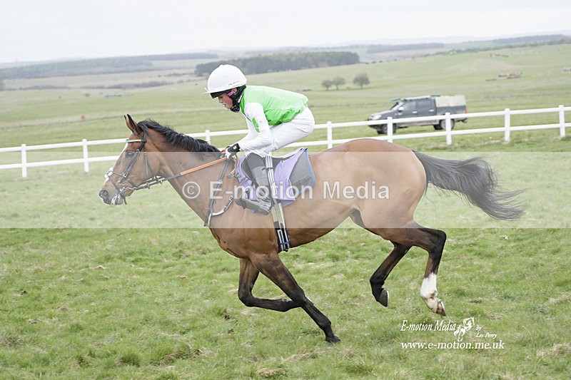 PtP 260323 1142 - New Forest Hounds Point-to-Point Larkhill 26/03/23