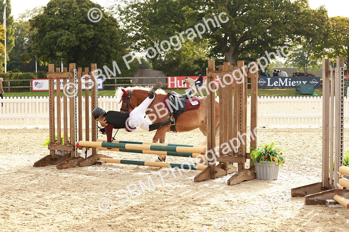 SBM_55691 - J11 - Junior Pony 50cm Championship
