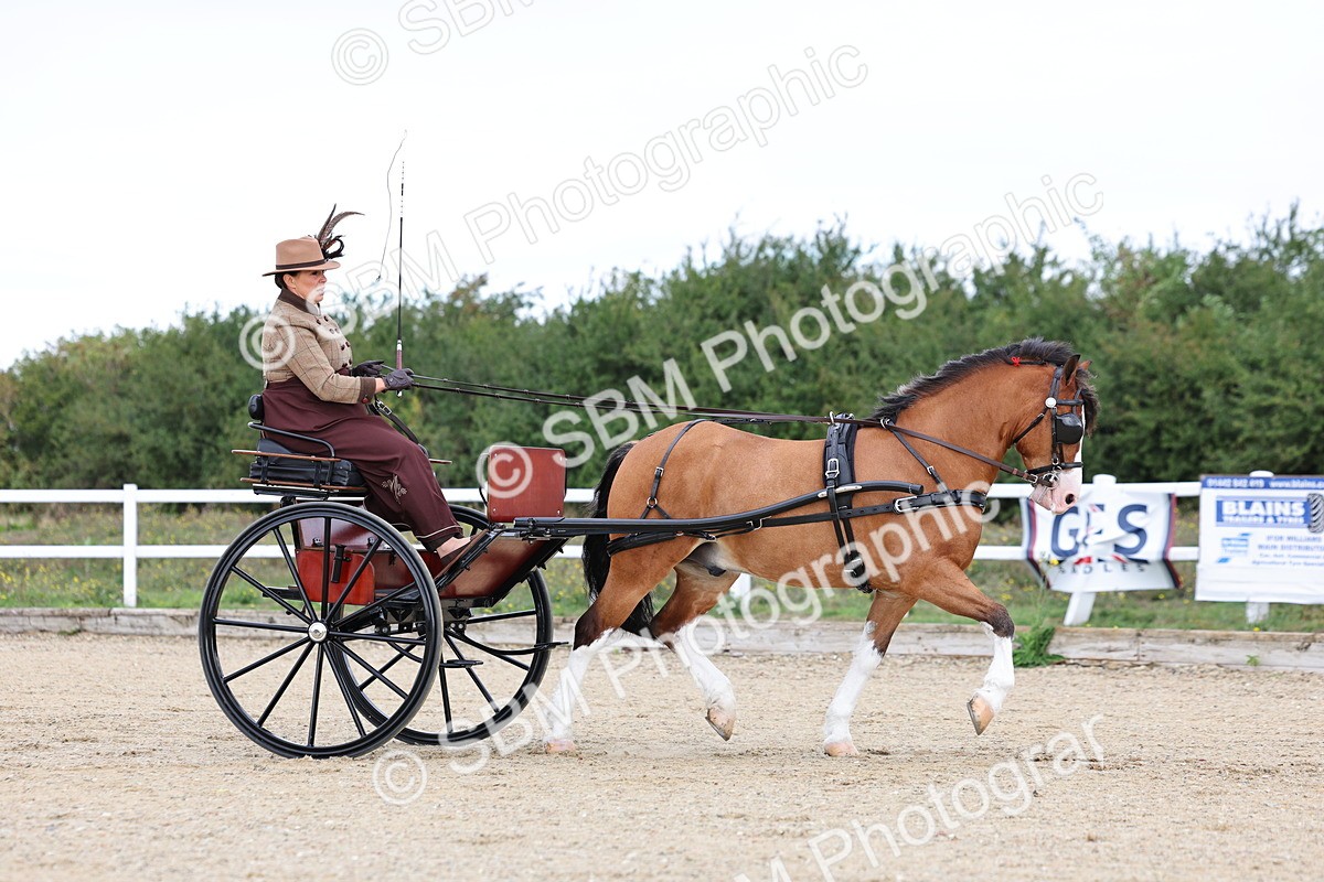 SBM_000275 - Class 2 - Exercise Vehicle 13.2hh & Under