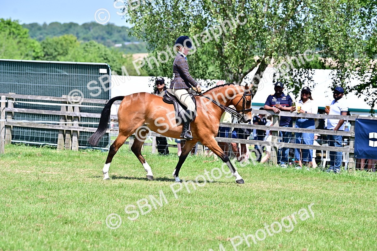 SBM_17385 - Class 95-97 - BSPS LHS Performance Ponies