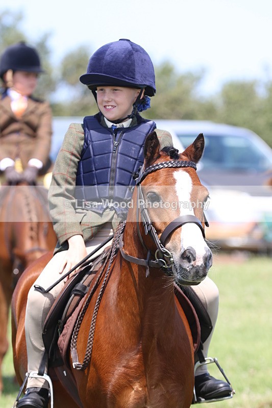 JPP_2326 - Class 20: Tiny Tots Working Hunter Pony