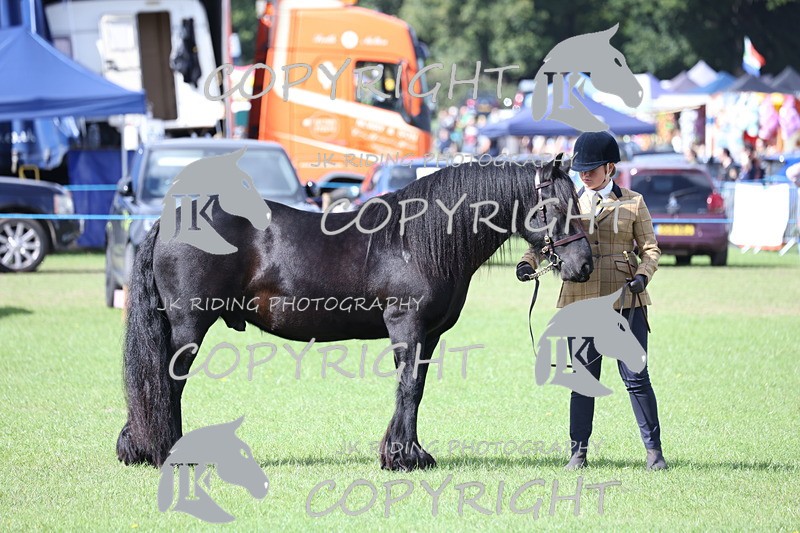 APP_2781 - Class 10a/b M&M in hand