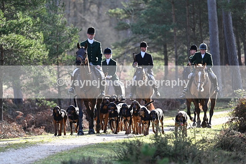 WJ7_7619 - Line 3 (no line 4 or 5)