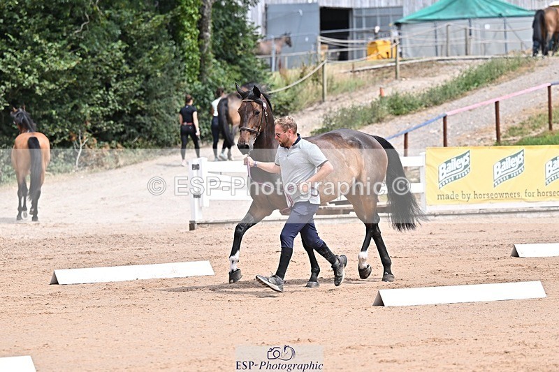 250716-125644-00241 - Trot Up 12.30 to 1.30