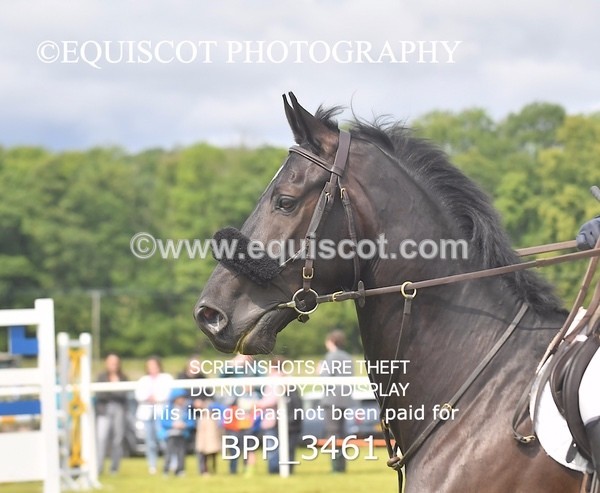 BPP_3461 - CLASS 8 SENIOR DISCOVERY