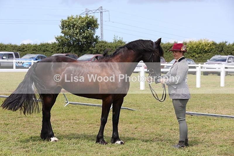 1X9A4774 - Class 35: Veteran In Hand