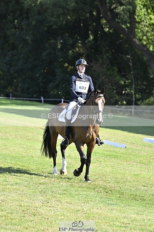 250822A-102828-20254 - DR 10.00 to 11.00