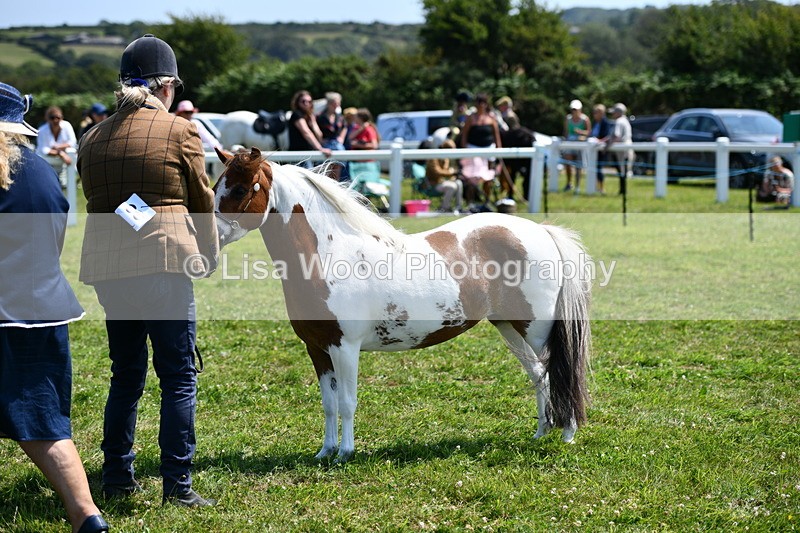 DSC_7694 - Class 64: Coloured Pony 4yrs & over