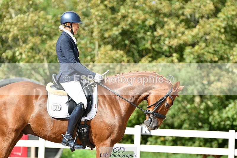 230912A-151921-01540 - Cls 13 Adv Medium 91