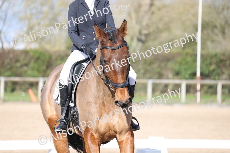 20260228-0776 - Class 5 - Novice 2