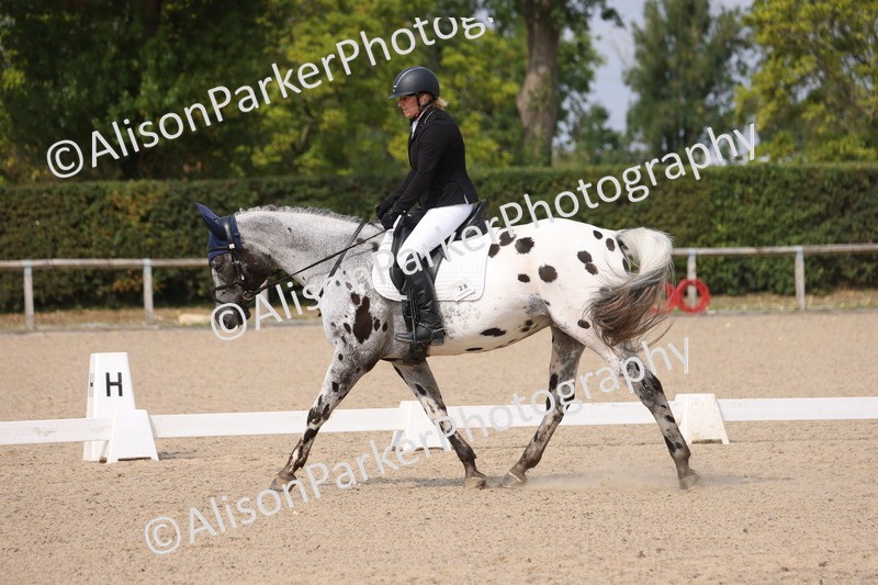 20250819-1576 - Class 5 - Novice 3