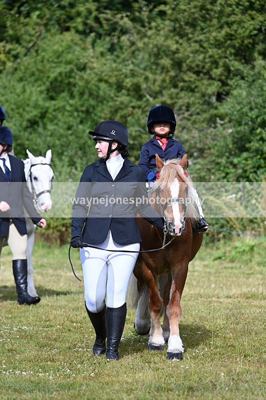 WJ7_4314 - Class 1 Lead Rein Pony