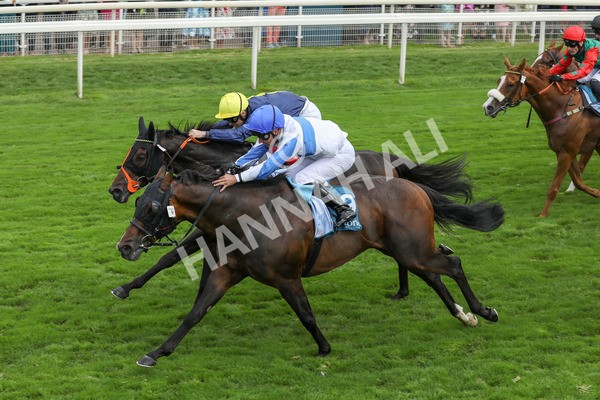 240823-Race 3-Ropey Guest-5180 - Race 3 3.00pm Clipper Handicap