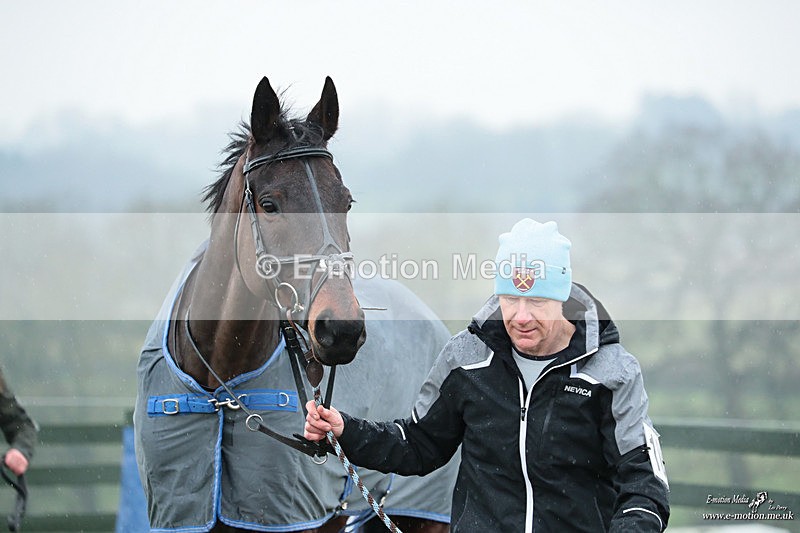 PtP 100324 494 - Pytchley with Woodland Point-to-Point Guilsborough 10/03/24