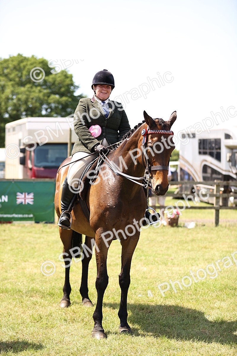 SBM_14995 - Class 78 - LIHS BSHA Open Racehorse & Show Horse