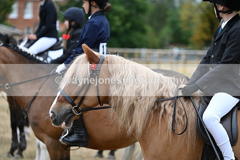 WJ7_7098 - Class 2 Best Rider