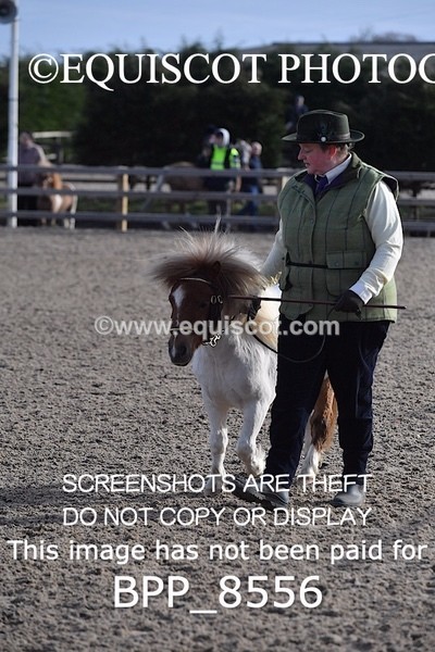 BPP_8556 - RING 2 - M&M