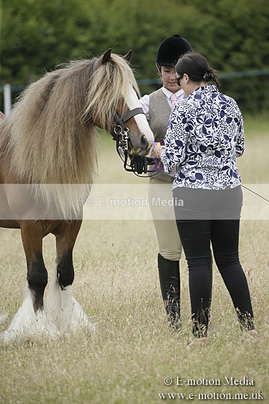 B230619-0755 - Bourne Valley Riding Club Summer Show 23/06/19