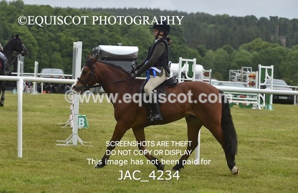 JAC_4234 - WORKING HUNTER CHAMPIONSHIP