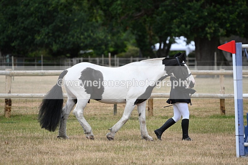 WJ6_4163 - Class 10 Coloured In-hand