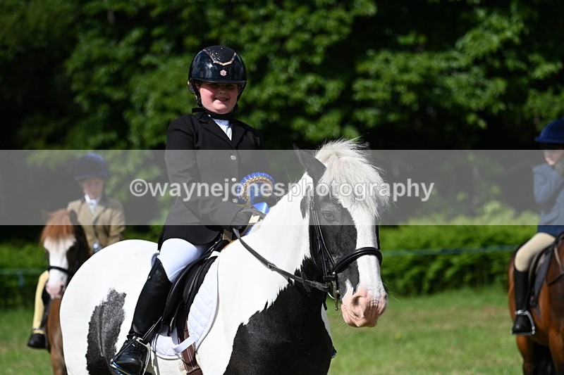 WJ7_0817 - Class 8 First Rally Pony