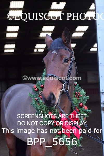 BPP_5656 - Imogen Gray