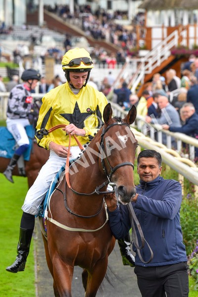 230923-Race 3-Politico-6248 - Race 3 3.10pm Happy 60th Birthday Angela Clark Nursery Handicap