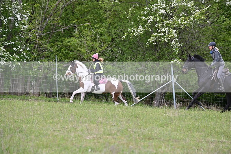 WJ6_1910 - Group 8 A&B Cameras