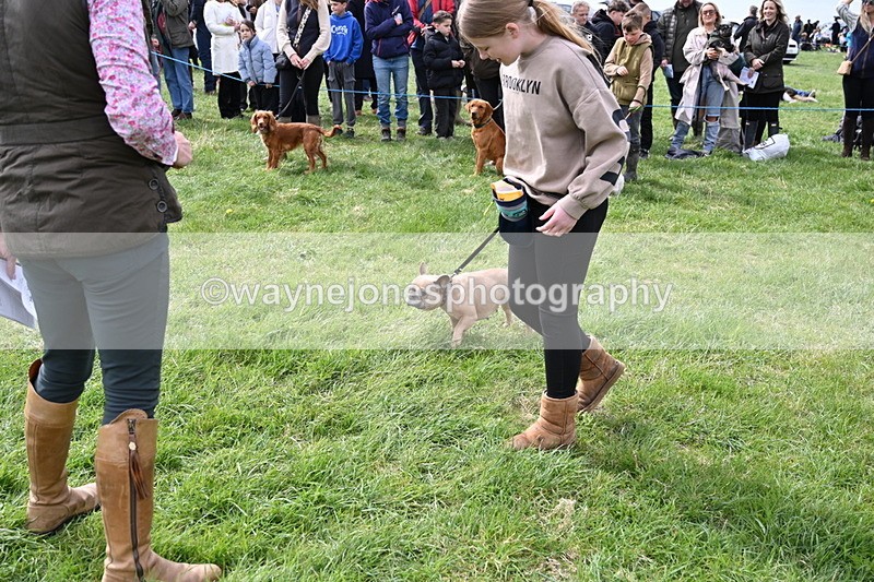 WJ6_8310 - Class 4 Prettiest Bitch