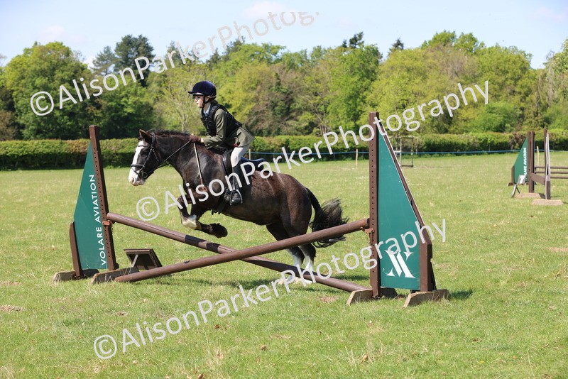 20250427-2582 - Class 20 - Working Hunter Ponies