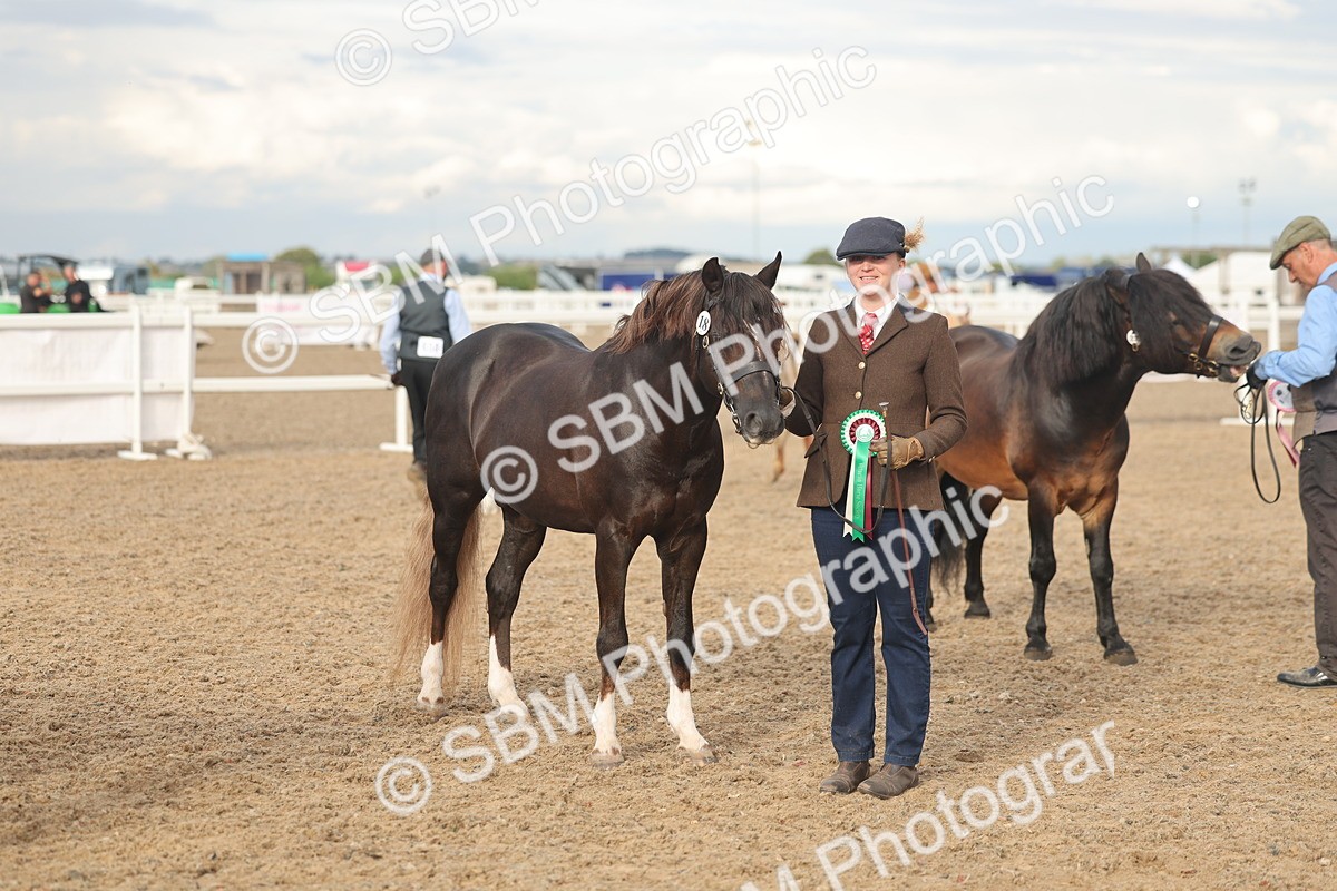SBM_08595 - Class 29 - IH Veteran Pony