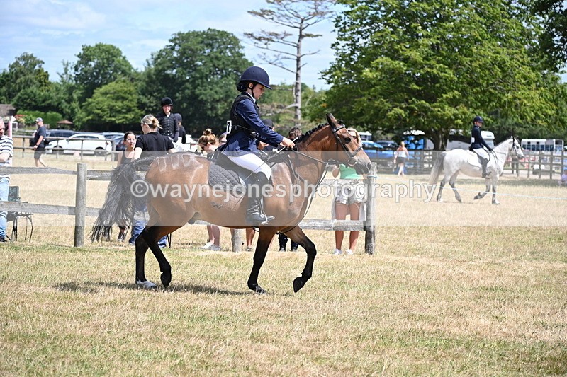 WJ6_5408 - Class 12 Minimus Jumping 45cm