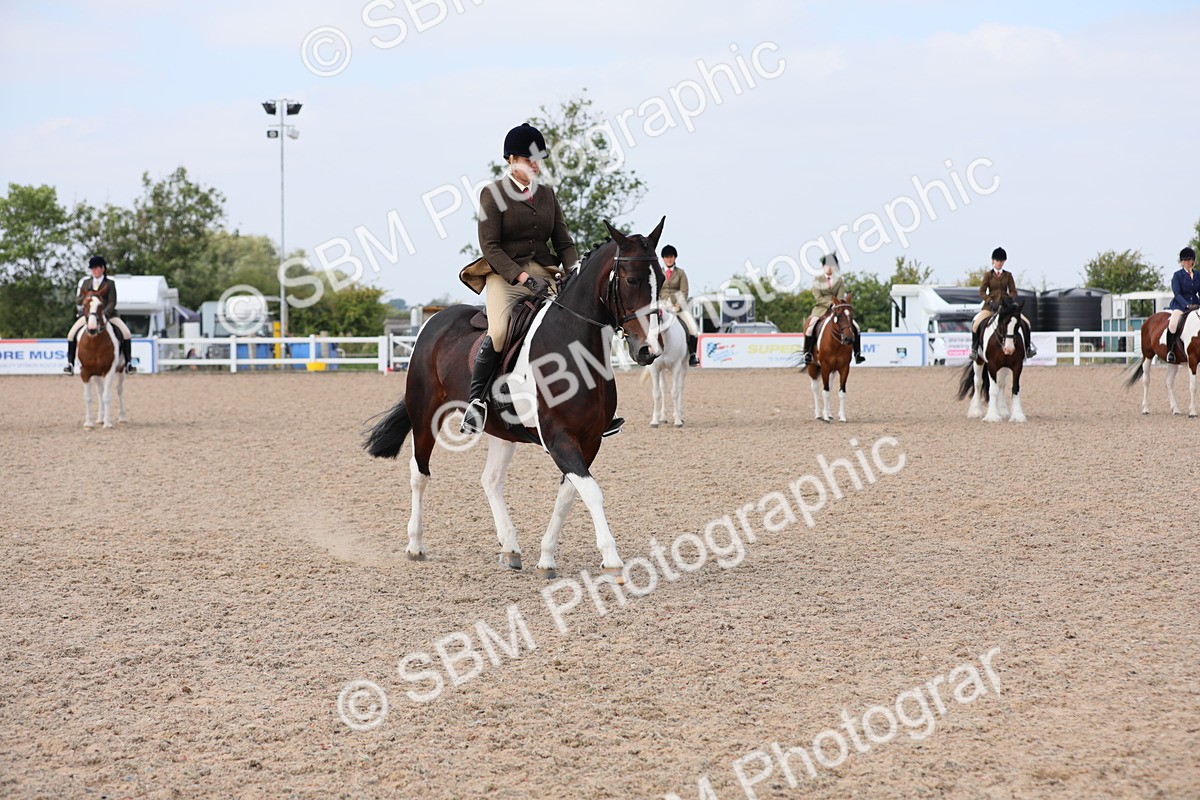 SBM_13460 - Class 308 Ridden Coloured Horse