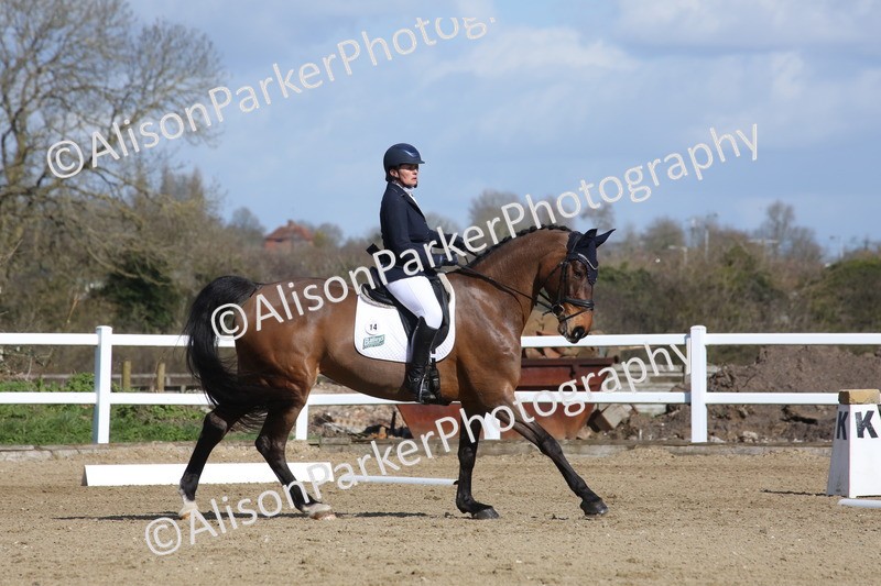 20260314-4100 - CT4 - Novice 1