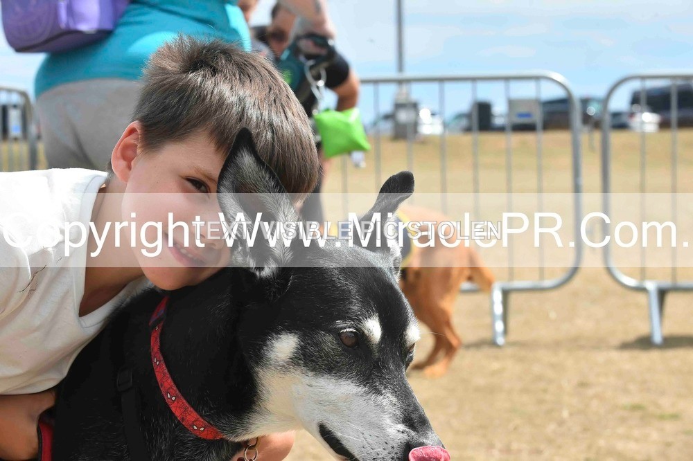 SH4_0116 - Dog show.