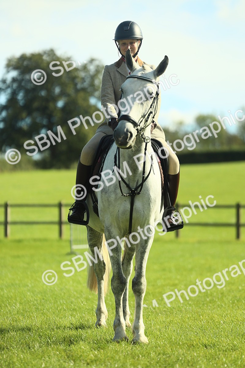 SBM_49896 - S32 - Novice & Newcomers Working Hunter